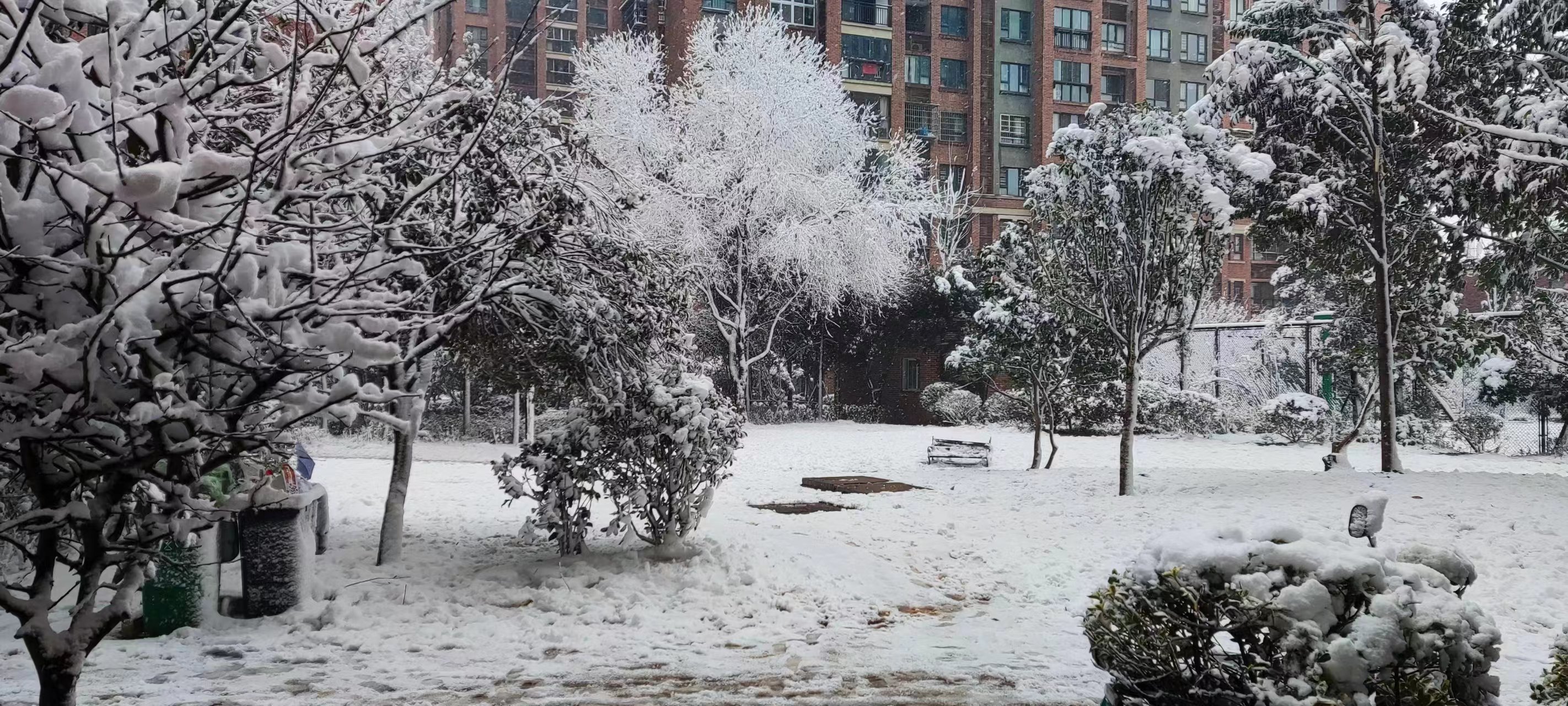 2024FirstSnowInChangsha